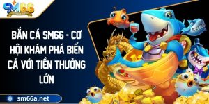 Bắn Cá SM66 - Cơ Hội Khám Phá Biển Cả Với Tiền Thưởng Lớn