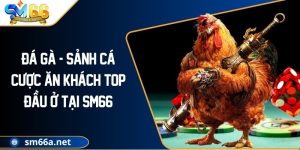 Đá Gà - Sảnh Cá Cược Ăn Khách Top Đầu Ở Tại SM66