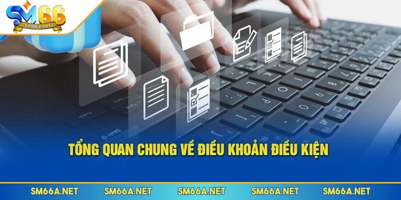 Điều khoản & Điều kiện 1 Tầm quan trọng của chính sách điều khoản & điều kiện