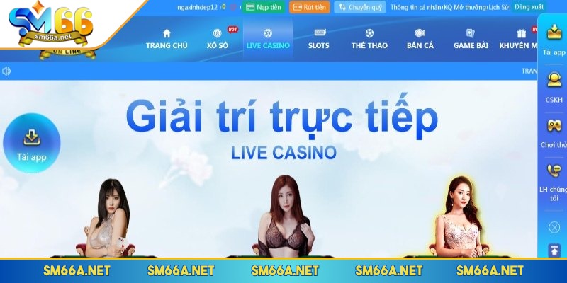 Những tín hiệu tích cực khi giới thiệu SM66 với đông đảo cược thủ