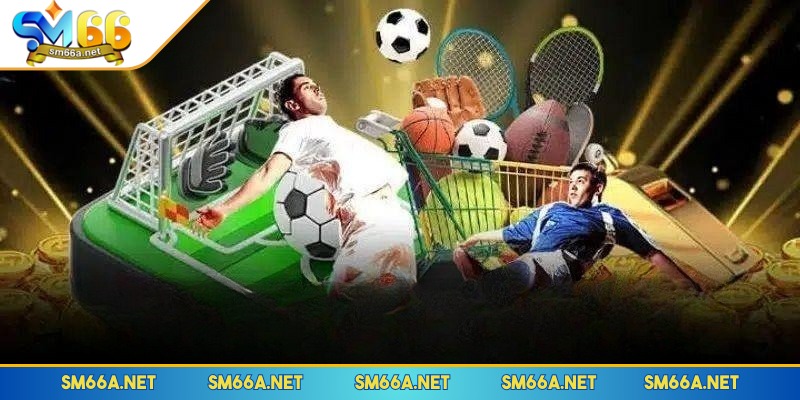 Giới thiệu chung về thể thao SM66
